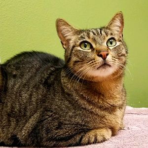 Meet your Posher, Sindy